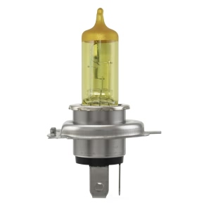 Hella Design Series Halogen Light Bulb for Mini Cooper Clubman - H4 YL