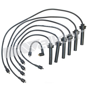 Walker Products Spark Plug Wire Set for 1994 Jaguar Vanden Plas - 924-1267