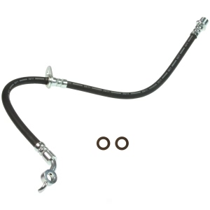 Wagner Brake Hydraulic Hose for 2005 Toyota RAV4 - BH141423