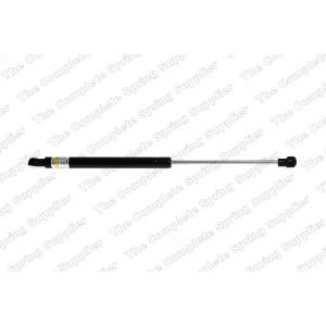 lesjofors Hood Lift Support for 2011 BMW 335d - 8008413