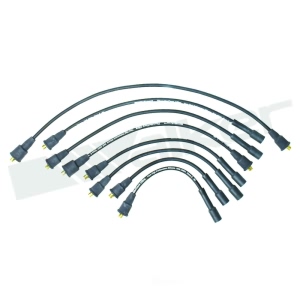 Walker Products Spark Plug Wire Set for 1986 Dodge W150 - 924-1343