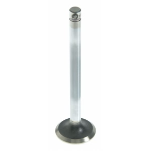 Sealed Power Engine Exhaust Valve - V-2205