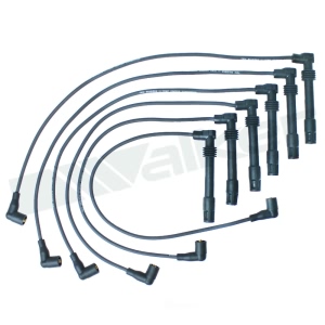 Walker Products Spark Plug Wire Set for 1999 Audi A6 Quattro - 924-1625