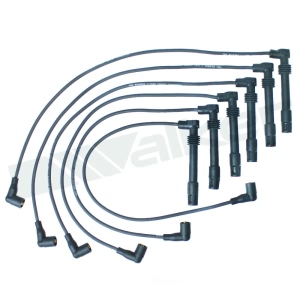 Walker Products Spark Plug Wire Set for 2005 Volkswagen Passat - 924-1625