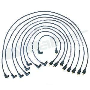 Walker Products Spark Plug Wire Set for Ford Country Squire - 924-1824