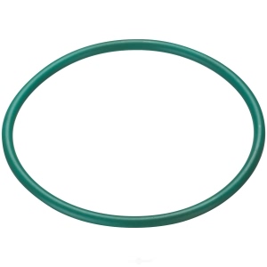 Spectra Premium Fuel Tank Lock Ring for 2002 Saturn SL2 - LO193
