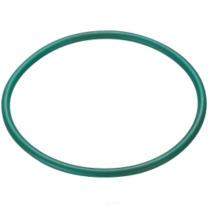 Spectra Premium Fuel Tank Lock Ring for Cadillac - LO193