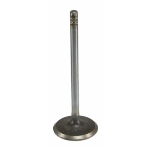 Sealed Power Engine Intake Valve for GMC Envoy - V-4675