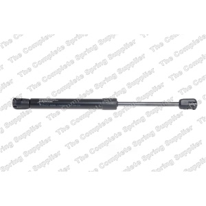 lesjofors Hood Lift Support for Audi A8 Quattro - 8004229