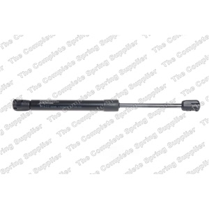 lesjofors Hood Lift Support for Audi S8 - 8004229