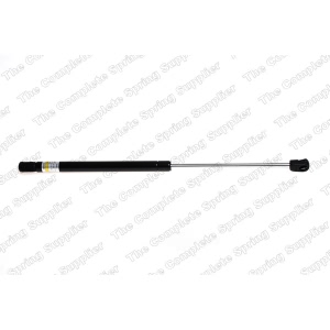 lesjofors Hood Lift Support for Hyundai - 8037201