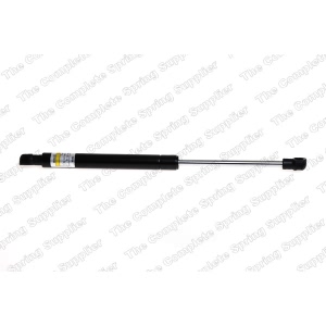 lesjofors Hood Lift Support for 2004 BMW 325xi - 8008409