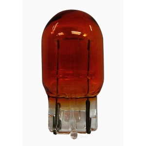 Hella Standard Series Incandescent Miniature Light Bulb for 2014 Infiniti Q50 - 7440A