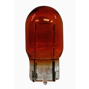 Hella Standard Series Incandescent Miniature Light Bulb for 2017 Chevrolet Camaro - 7440A