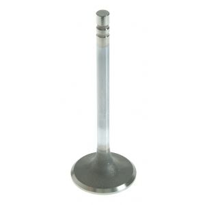 Sealed Power Engine Intake Valve for 1985 GMC C2500 - V-2287