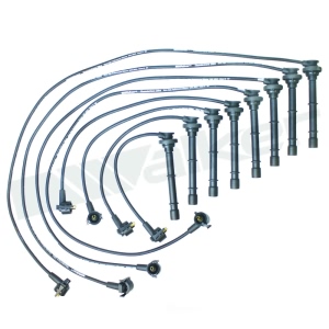 Walker Products Spark Plug Wire Set for 1995 Lincoln Town Car - 924-1478