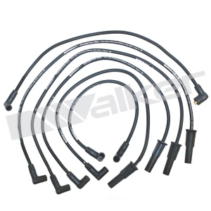 Walker Products Spark Plug Wire Set for 1984 Ford Mustang - 924-1189