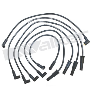 Walker Products Spark Plug Wire Set for 1989 Ford Mustang - 924-1189