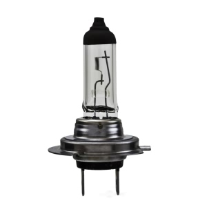 Hella H7Ll Long Life Series Halogen Light Bulb for Ram ProMaster 3500 - H7LL