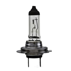 Hella H7Ll Long Life Series Halogen Light Bulb for 2010 Ford Fusion - H7LL