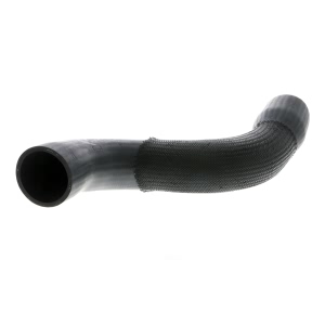 VAICO Intercooler Hose for 2013 Audi A5 - V10-3831