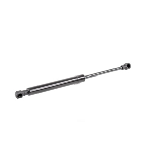 VAICO Liftgate Lift Support - V95-0194