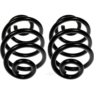 Dorman Rear Coil Springs for 2003 BMW 330xi - 926-576