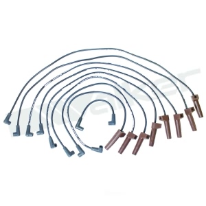 Walker Products Spark Plug Wire Set for Chevrolet R2500 Suburban - 924-1432
