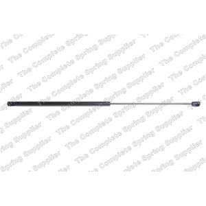 lesjofors Hood Lift Support for 2011 Jaguar XK - 8041405