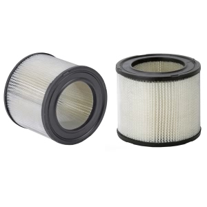WIX Air Filter for Chevrolet Celebrity - 46179