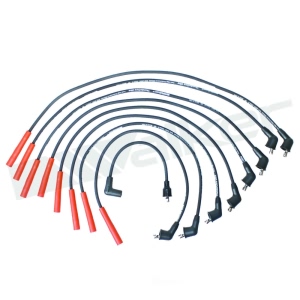 Walker Products Spark Plug Wire Set for Ford E-150 Econoline Club Wagon - 924-1600