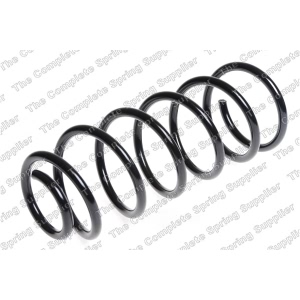 lesjofors Rear Coil Springs for 2007 Hyundai Accent - 4237231