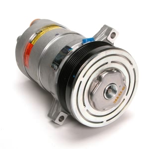 Delphi A C Compressor With Clutch for 1997 Chevrolet Camaro - CS0123