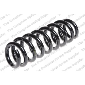 lesjofors Coil Spring for 2008 BMW 335xi - 4208471