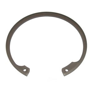 SKF Rear Wheel Bearing Lock Ring - CIR259