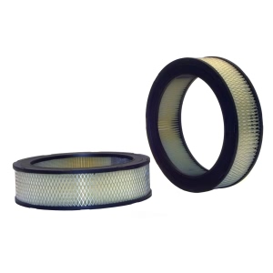 WIX Air Filter for American Motors - 42020