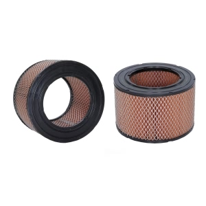 WIX Air Filter for Volvo - 42165