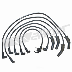 Walker Products Spark Plug Wire Set for 1986 Ford Escort - 924-1144