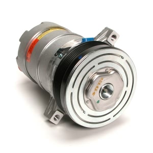 Delphi A C Compressor With Clutch for 1994 Cadillac DeVille - CS0087