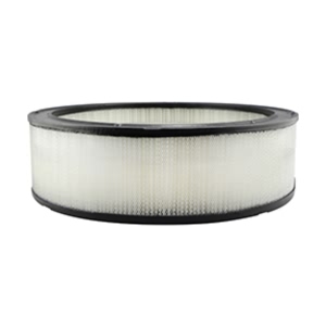 Hastings Air Filter for 1984 Cadillac Fleetwood - AF809