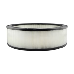 Hastings Air Filter for 1984 Buick LeSabre - AF809