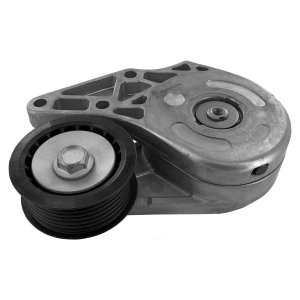 VAICO Drive Belt Tensioner Assembly for Volkswagen Passat - V10-0551