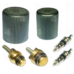 Four Seasons A C System Valve Core And Cap Kit for Lincoln Blackwood - 26779