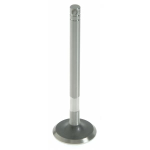 Sealed Power Engine Exhaust Valve - V-1004