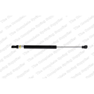 lesjofors Trunk Lid Lift Support for BMW - 8108424
