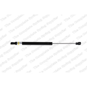 lesjofors Trunk Lid Lift Support for 2005 BMW 330Ci - 8108424