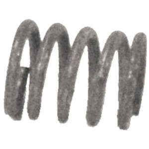 Bosal Manifold Spring - 251-807