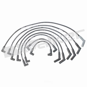 Walker Products Spark Plug Wire Set for 1991 Mercury Sable - 924-1328
