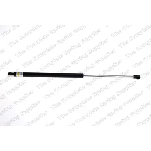 lesjofors Trunk Lid Lift Support for 2003 BMW 325i - 8108412