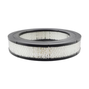 Hastings Air Filter for Dodge D100 - AF956